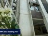 Como lidar com o estresse dos pais após suicídios de mãe e filha em Hong Kong