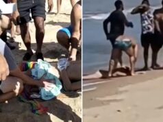 Um menino de 11 anos perdeu a perna em um ataque de tubarão enquanto implorava às equipes de resgate que não o deixassem morrer