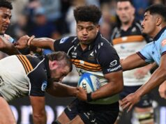 Os números revelam o vazio, os Brumbies passam pelas Super Cinzas