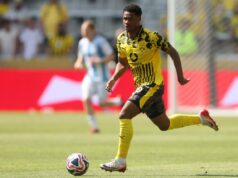 Borussia Dortmund pode ser vendido