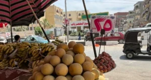 O preço das bananas, melões e frutas nos mercados hoje, sábado, 6 de junho de 2026