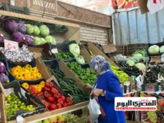 “Limões pesam 70 libras por quilo.” Preços atuais de vegetais e frutas nos mercados de Matrouh