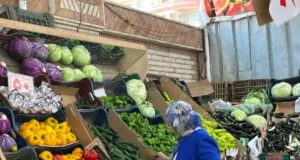 “Limões pesam 70 libras por quilo.” Preços atuais de vegetais e frutas nos mercados de Matrouh