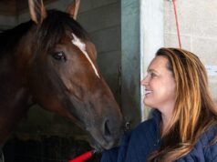 Golden Tempo e Renegade lideram campo forte para moradores de rua Belmont Stakes