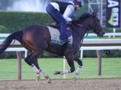 Golden Tempo conquistou o 158º Belmont Stakes, vencendo a primeira e terceira etapas da Tríplice Coroa.