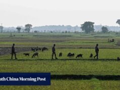 Bangladesh e Índia prometem cooperação fronteiriça mais estreita em meio a disputa migratória
