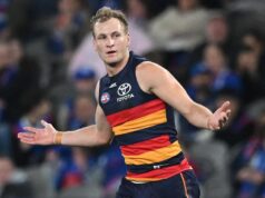 Dawson incentiva iniciantes rápidos na preparação de cães