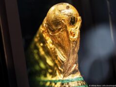 6 coisas que você precisa saber