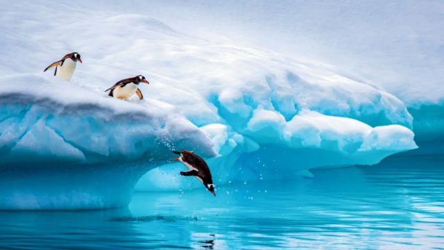 Antarctica-1781192274729_d.png