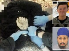 A polícia algema Henry Nowak enquanto ele sangra após um ataque com faca Sikh