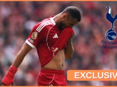 Tottenham prepara oferta de transferência de Cody Gakpo