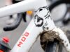 Uma homenagem ao melhor amigo de um homem – a bicicleta Enve ‘Sir Willie’ pintada sob medida de Alexey Vermeulen para Unbound Gravel.