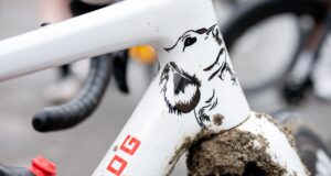 Uma homenagem ao melhor amigo de um homem – a bicicleta Enve ‘Sir Willie’ pintada sob medida de Alexey Vermeulen para Unbound Gravel.