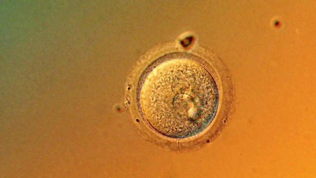 Genes-1780670281280_d.png