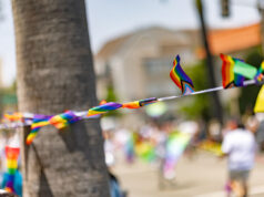 Mês da Família Nuclear explicado conforme o Partido Republicano observa durante o orgulho LGBTQ+