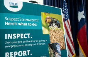 FDA aprova remédio emergencial contra vermes para animais de estimação: quais animais se qualificam?