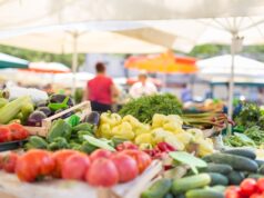 Mercado de agricultores de alimentos de Pearl County reabre após 10 anos