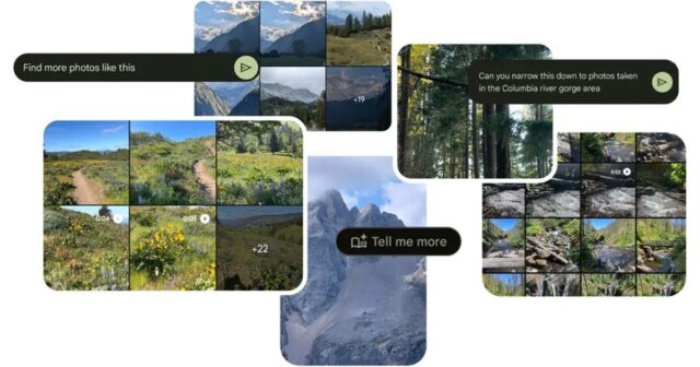 Google-Photos.jpg