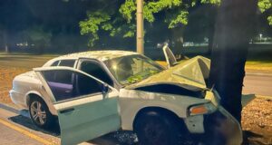 Motorista de Vancouver morre após bater em árvore
