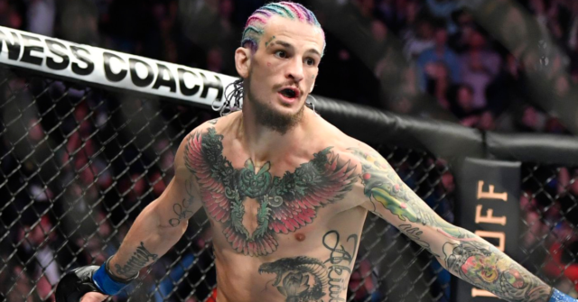 Sean-OMalley-Promises-Knockout-at-UFC-White-House-Event.png