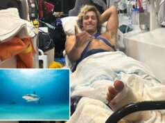 Surfistas escapam das mandíbulas de um tubarão australiano com um truque simples