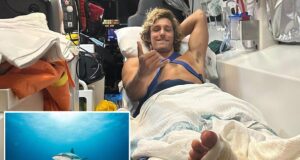 Surfistas escapam das mandíbulas de um tubarão australiano com um truque simples