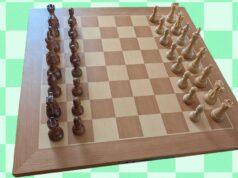 Melhores tabuleiros de xadrez inteligentes (2026): Chessnut, Millennium