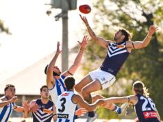 Josh Kempton: Luke Jackson é agora o melhor ruckman da AFL após uma impressionante demolição de North Melbourne