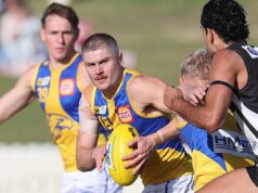 AFL Watch: Como cada jogador listado no West Coast Eagles se saiu na vitória do distrito de Swans