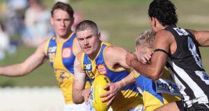 AFL Watch: Como cada jogador listado no West Coast Eagles se saiu na vitória do distrito de Swans