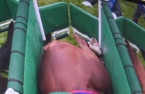 Caos no Epsom Derby enquanto os vencedores PERDEM dinheiro depois que o favorito Benvenuto Cellini é considerado não participante