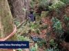 Alpinista malaio desaparecido há 2 semanas sobrevive milagrosamente com frutas silvestres