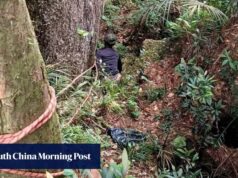 Alpinista malaio desaparecido há 2 semanas sobrevive milagrosamente com frutas silvestres