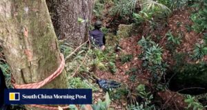 Alpinista malaio desaparecido há 2 semanas sobrevive milagrosamente com frutas silvestres