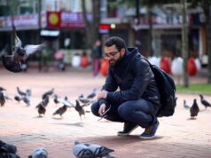Os pássaros urbanos têm mais medo das mulheres do que dos homens e os pesquisadores não sabem por quê: estudo