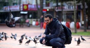 Os pássaros urbanos têm mais medo das mulheres do que dos homens e os pesquisadores não sabem por quê: estudo