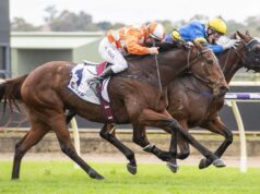 Hubba West quer arruinar a festa no Western Empire Group 3 $ 200.000 Strickland Stakes