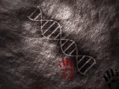 DNA antigo de Neandertal pode explicar a linguagem humana