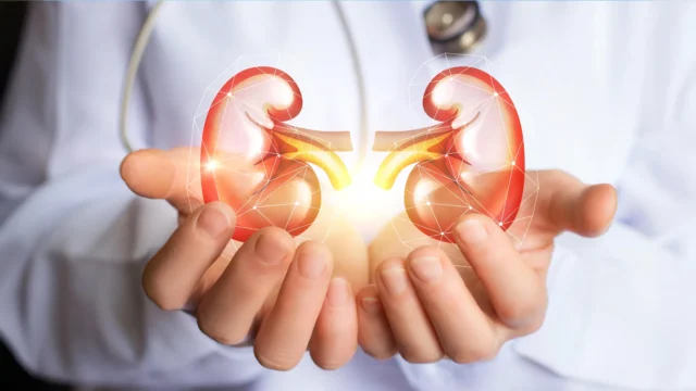 doctor-supports-kidney-health.webp.webp