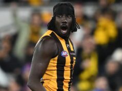 ‘Feio e horrível’: Hawks abusa do racismo