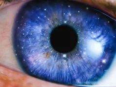 Os cientistas questionam seriamente se as abelhas e o ChatGPT estão conscientes