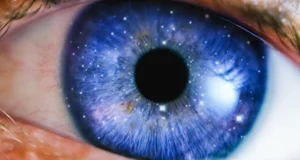 Os cientistas questionam seriamente se as abelhas e o ChatGPT estão conscientes