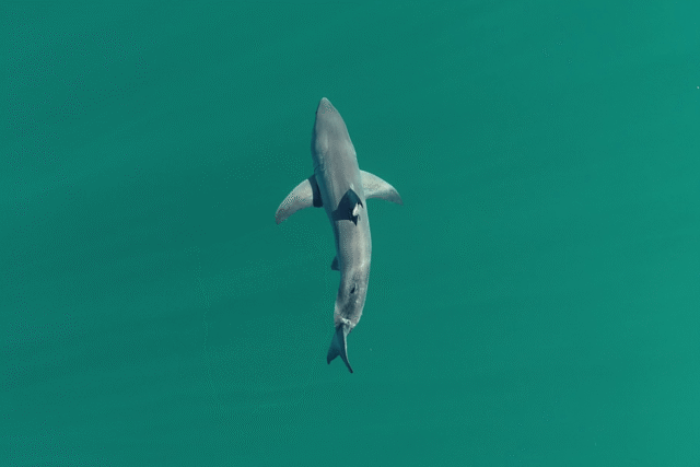 fullimg-2026-06-10T161129-742.png