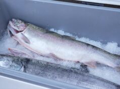 Uma petição para proibir a caça e a pesca no Oregon ganhou força com 125 mil assinaturas.