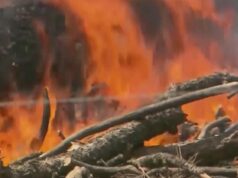 Ordens de evacuação emitidas durante incêndios florestais no leste do Oregon.