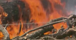 Ordens de evacuação emitidas durante incêndios florestais no leste do Oregon.