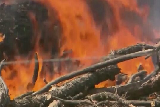 Ordens de evacuação emitidas durante incêndios florestais no leste do Oregon.