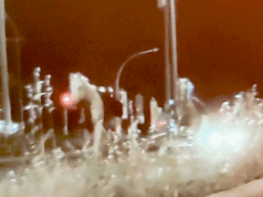 Cerca de três dúzias de cavalos dispararam pelas ruas de Roma. Depois que a prática de fogos de artifício criou medo