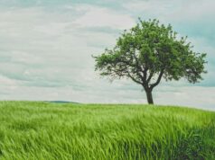 Muitos europeus preocupam-se com as alterações climáticas, mesmo que não o demonstrem da mesma forma