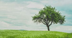 Muitos europeus preocupam-se com as alterações climáticas, mesmo que não o demonstrem da mesma forma
